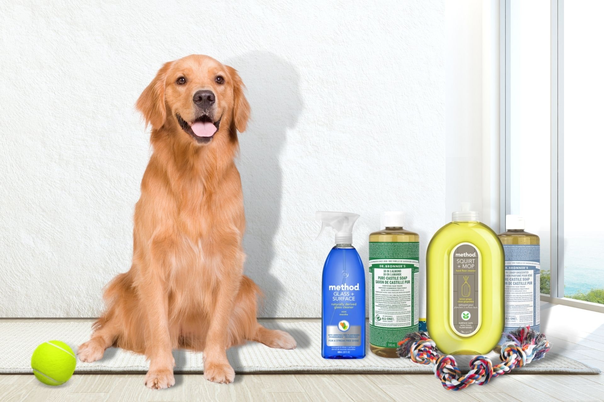 Top Pet-Friendly House Cleaners Every Pet-Owner Needs